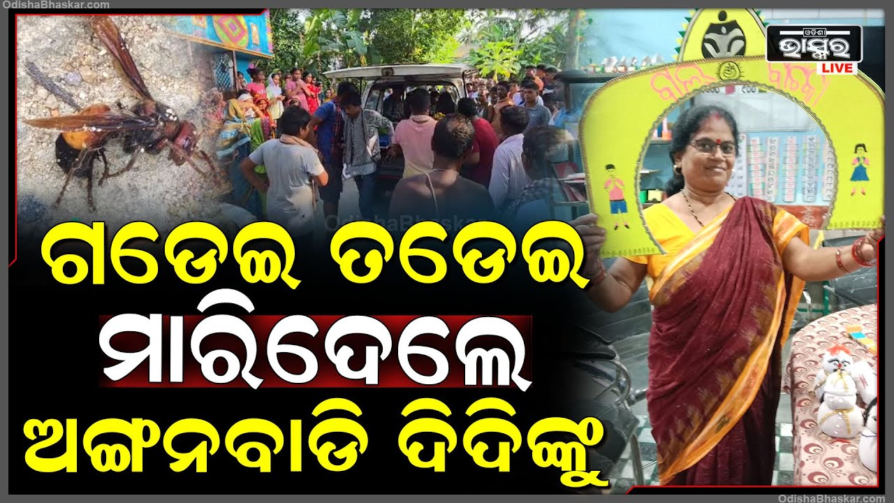 ଗଡେଇ ତଡେ଼ଇ ବିନ୍ଧିଲା ବିରୁଡି ..ଗାଡ଼ିଆକୁ ଡେଇଁ ପଡିଲେ ଅଙ୍ଗନବାଡି ଦିଦି , ଗାଁ କୁ ଫେରୁଛି ମୃ-ତଦେହ