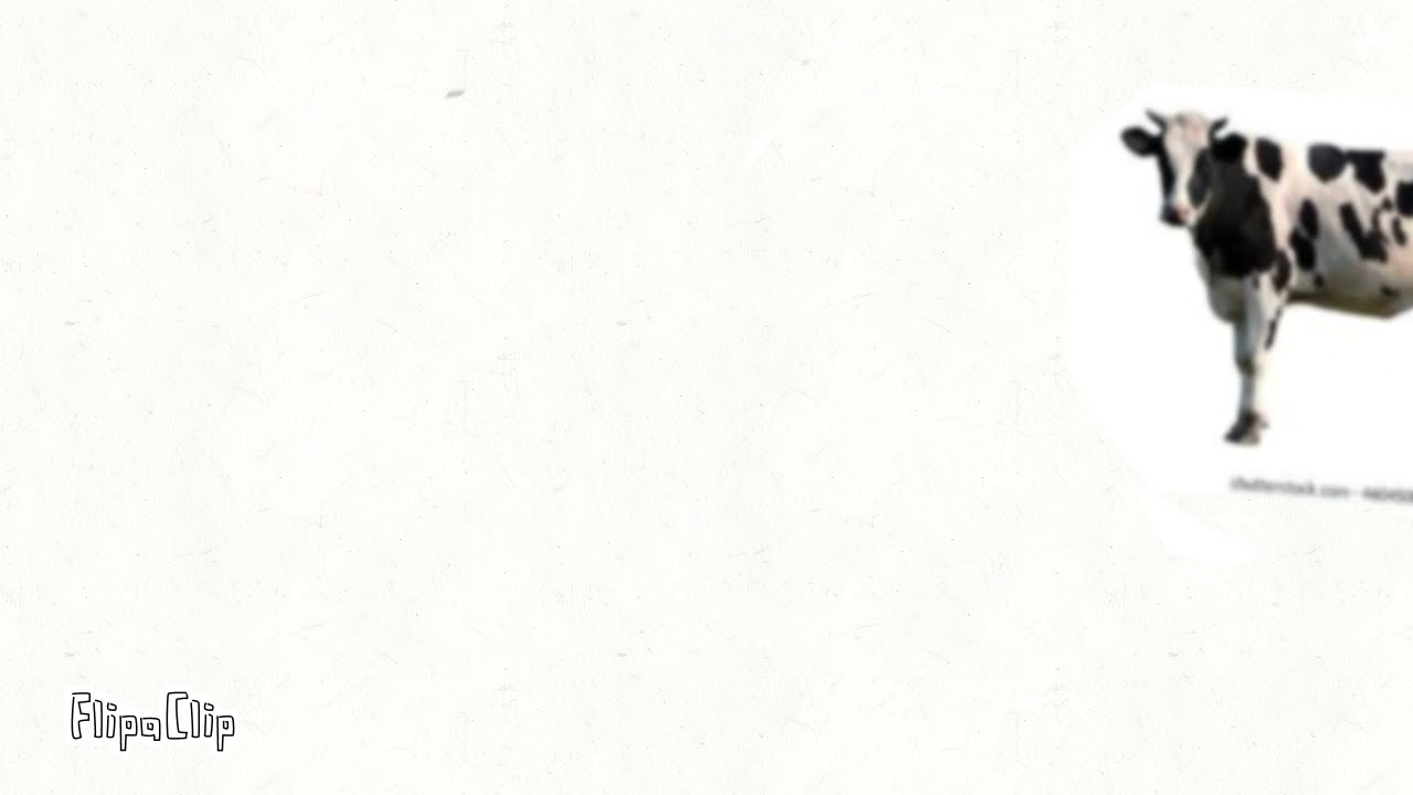 Cow rotation - YouTube