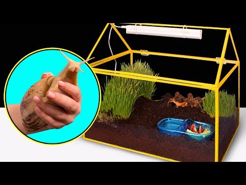 Una casa nueva para Nicole el Caracol