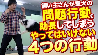 飼い主さんが愛犬の問題行動を助長するやってはいけない4つの行動