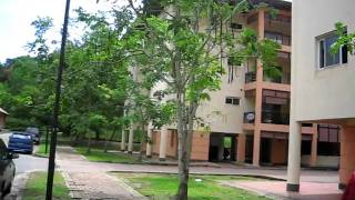 MVI_3200.AVI