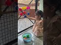 Sticky Ball 🥎 Fun – Target Game 🎯 Super fun DIY activity 😍.. #indoorgamesforkids