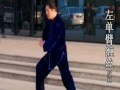 Dan Yun Shou3 in zuo3