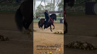 Herodes De Villa Nataly 🚀🔥P1🏆🇨🇴 #troteygalopecolombiano #pasionequina #caballos #troteygalope #ccc