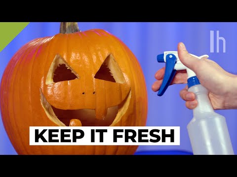How to Preserve a Jack-O&rsquo;-Lantern or Pumpkin for Halloween