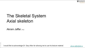 Skeletal system - axial skeleton 2017