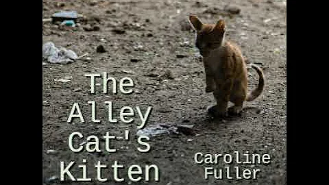 The Alley Cats Kitten by Caroline Fuller Full Audi...