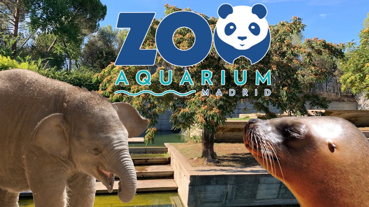 Cuanto cuesta la entrada al zoo de madrid