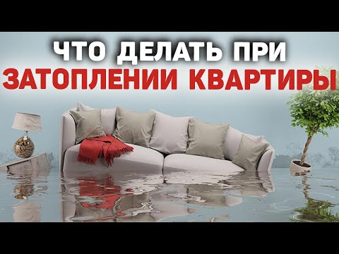 Затопили соседи сверху | Что делать, куда обращаться | Потоп