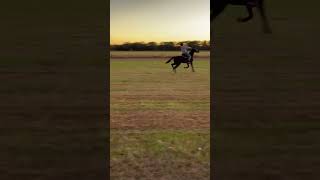 Ct trying to get back in the groove