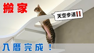 【豆漿 - SoybeanMilk】我們搬家啦...正式入厝完成！