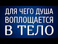 Для чего Душа воплощается в Тело? Эзотерика для начинающих!