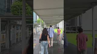 또 미팅하고 또 회식하고 또 뷰잉하는 #싱가포르 #직장인 #출장 #브이로그 4~5일 차