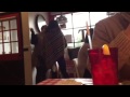 Toilet Paper Tail!  How awkward!