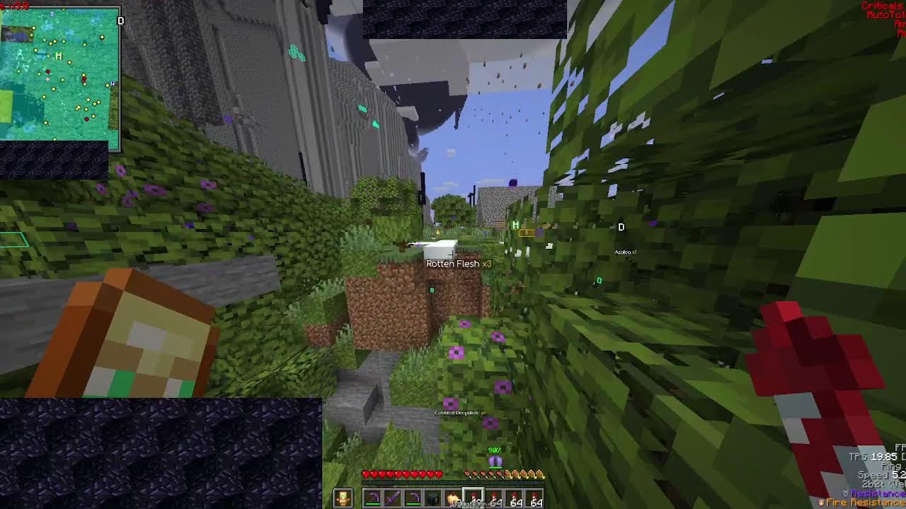 Playing 2b2t