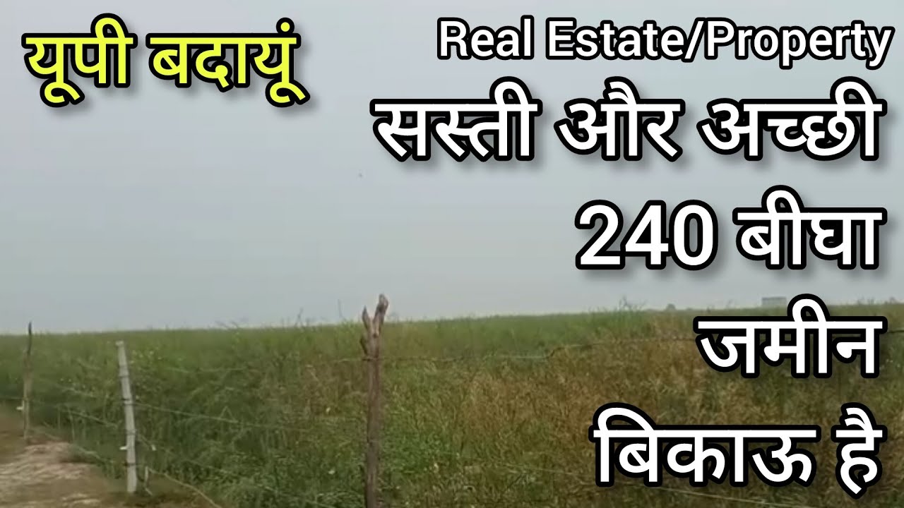सस्ती और अच्छी 240 बीघा जमीन बिकाऊ है Agriculture land for sale UP Budaun Real Estate
