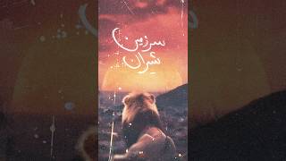 Sarzamine Shiran - سرزمین شیران Parham Potki X Mmv