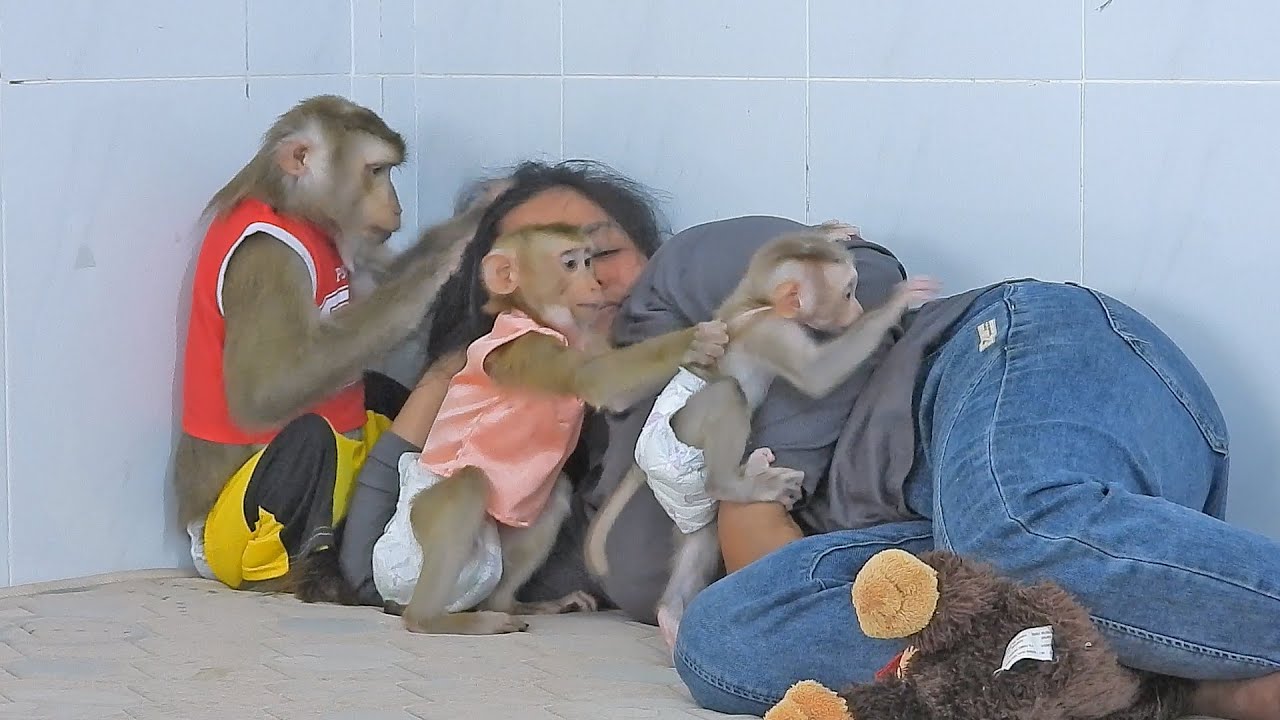 Sister Valen Don't Allow Little Luka Climb Up Grandma