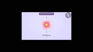 Rotational symmetry | Part 1/3 | English | Class 7