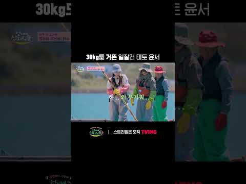 대체 못하는 게 뭐야🫢 | <strong>TVING</strong> | #언니네산지직송3  #Fresh_off_the_Sea3