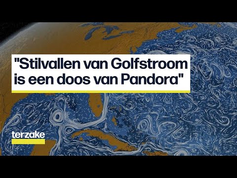 Video: Wat Gebeurt Er Met De Nieuwe MMM