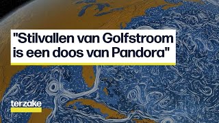 Wat gebeurt er als de Golfstroom stilvalt? | Terzake