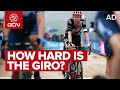 How Hard Is Pro Bike Racing? | Exclusive Insights From EF Nippo At The 2021 Giro d'Italia