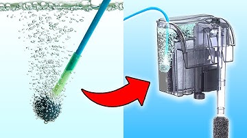 5 Simple Tricks to Improve Your Aquarium Filter