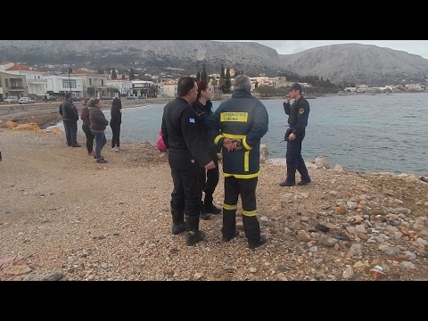 Politischios.gr: Διάσωση Δελφινιού στον Βροντάδο 20.2.2017