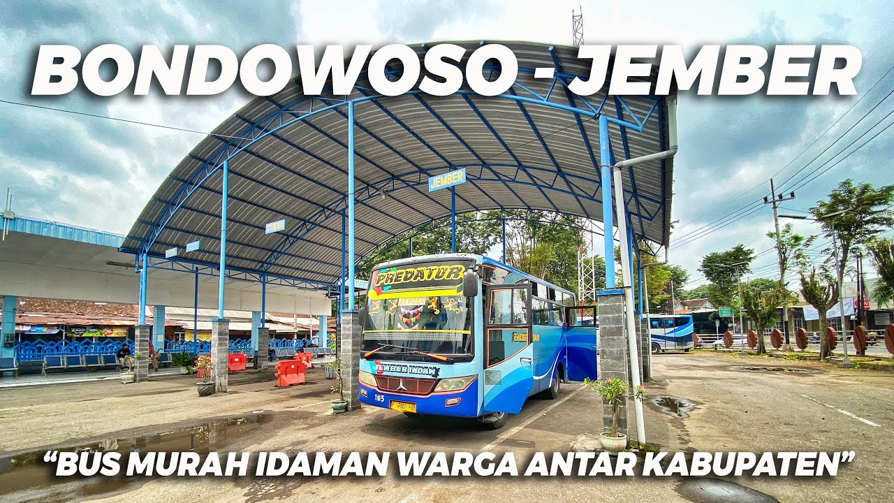 Kirain Bakalan Mahal, Gak Taunya Murah Banget! Naik Bus JEMBER INDAH, Nadi Warga Setempat