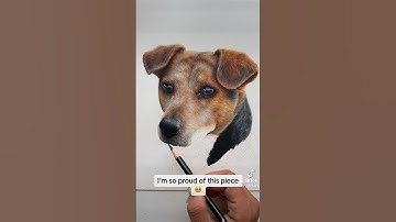 Realistic coloured pencil dog drawing | work in progress #colourpencil #dogdrawing #coloredpencil