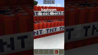 dünyayı tnt ile kaplamak