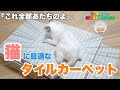 【タイルカーペット】保護猫と暮らす35年ローンの家『感動！滑らず走り回れるようになりました』 #子猫 #cat