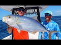 Catching Rare Electric Blue Fish For Catch and Cook{tarpon, Cubera snapper and more}