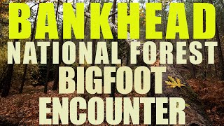 Bigfoot Encounter | Bankhead National Forest (Alabama) A White Hunters Eye Sighting Encounter