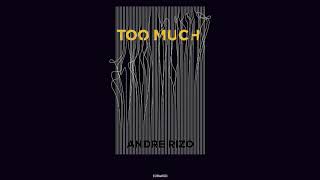 Andre Rizo - Too Much (Original Mix)