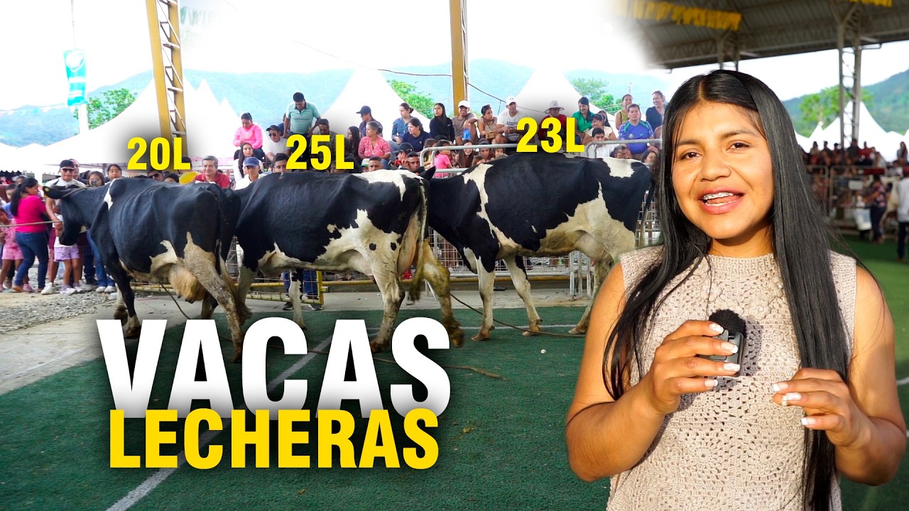 Concurso de vacas Lecheras en Yantzaza | 12 kg 😱