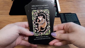 Wild Whiskers Oracle by Faina Lorah Opening and Full Flip Through