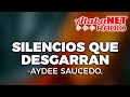 Aydee Saucedo - Silencios que desgarran