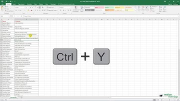 Undo, Redo and Repeat - Excel Hacks