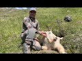 Hunting Compilation Stalks and Kill Shots Part 1