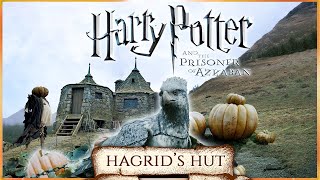 Hagrid's Hut [ASMR] Hogwarts in Autumn Harry Potter 3 inspired Ambience  Pumpkins, Falling leaves