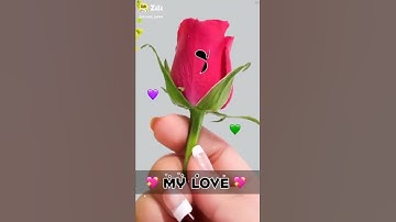 s name status video #name_status_video #ravindra_ranjan #whatsapp_status