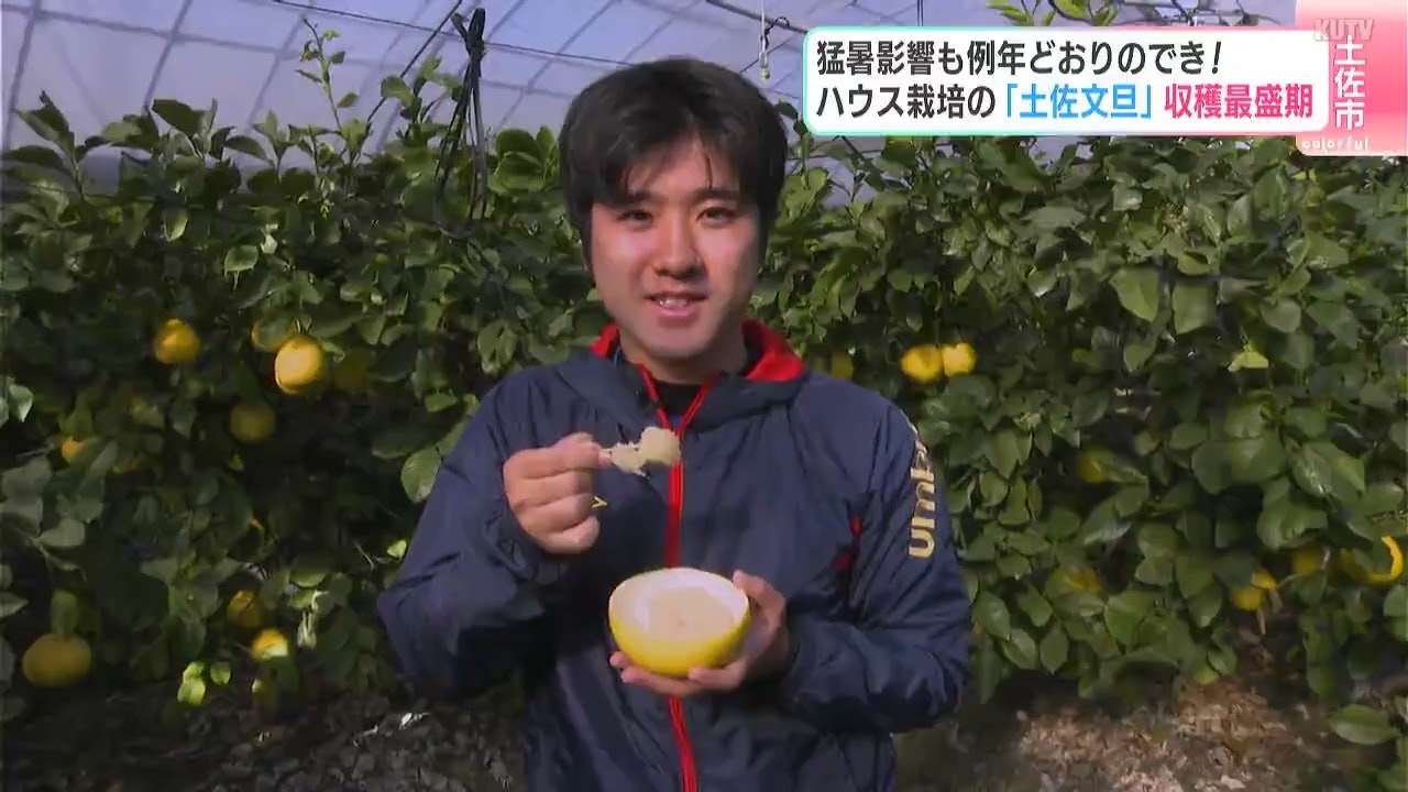 maxresdefault.jpg?sqp=-