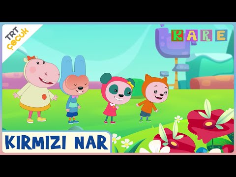 Kare | Kırmızı Nar