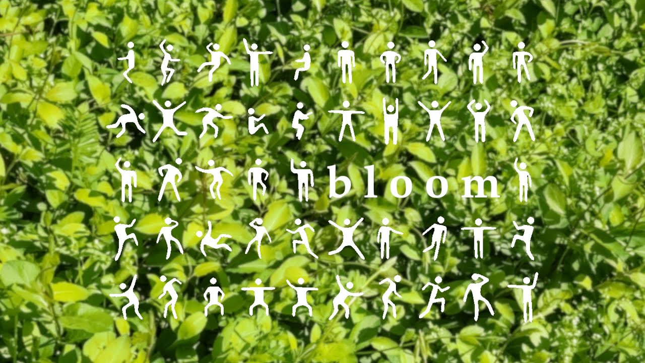 bloom