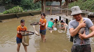 Harvest a lot of big fish on the farm, Go to the market to sell  buy cakes for your son