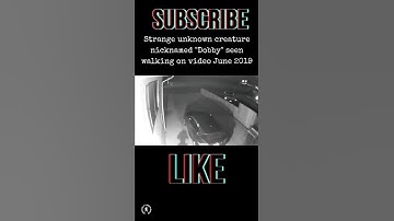 Unknown alien elf like creature caught on video
