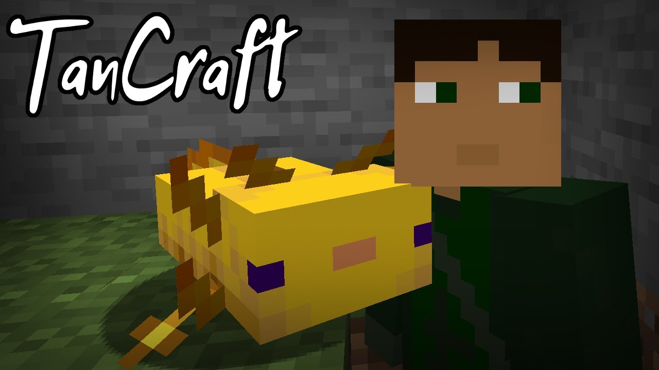Minecraft SMP ~ UPDATE 1.17 on the TanCraft server ~ Livestream #1 ...