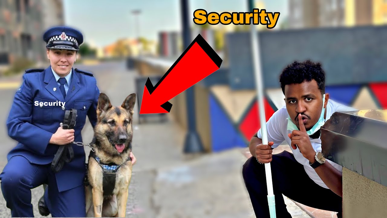 Guryaha Maalqabeenada Ayaa Kudhexdhuuntay Anigoo Shaqaale Iska Dhigaya!! | Sneaking Into Rich's home